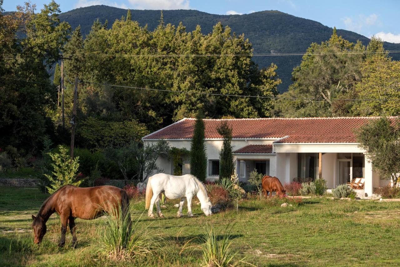 Luna Inn B&B Faiakes Esterno foto